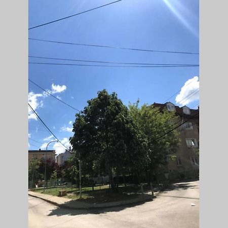 Cozy Apartment In The Old Center Of Prishtina بريشتاين المظهر الخارجي الصورة
