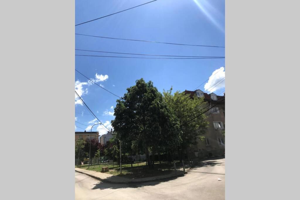 Cozy Apartment In The Old Center Of Prishtina بريشتاين المظهر الخارجي الصورة
