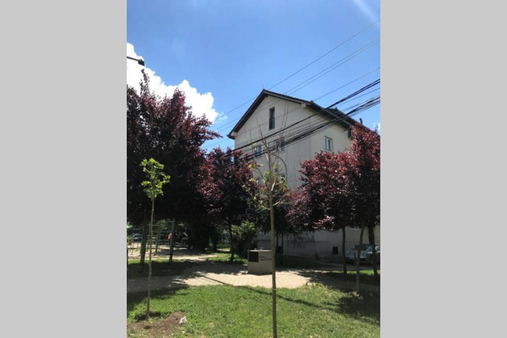 Cozy Apartment In The Old Center Of Prishtina بريشتاين المظهر الخارجي الصورة